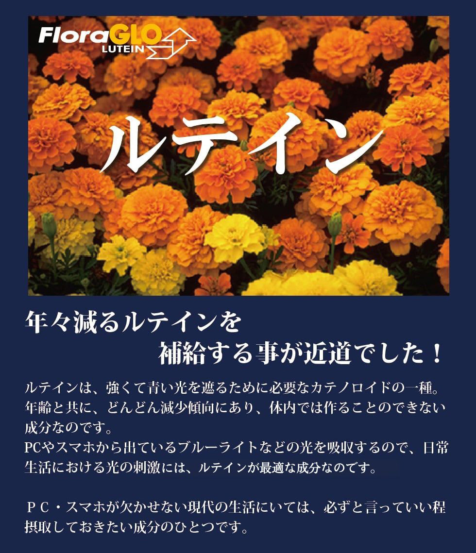 ルテイン補給が近道！